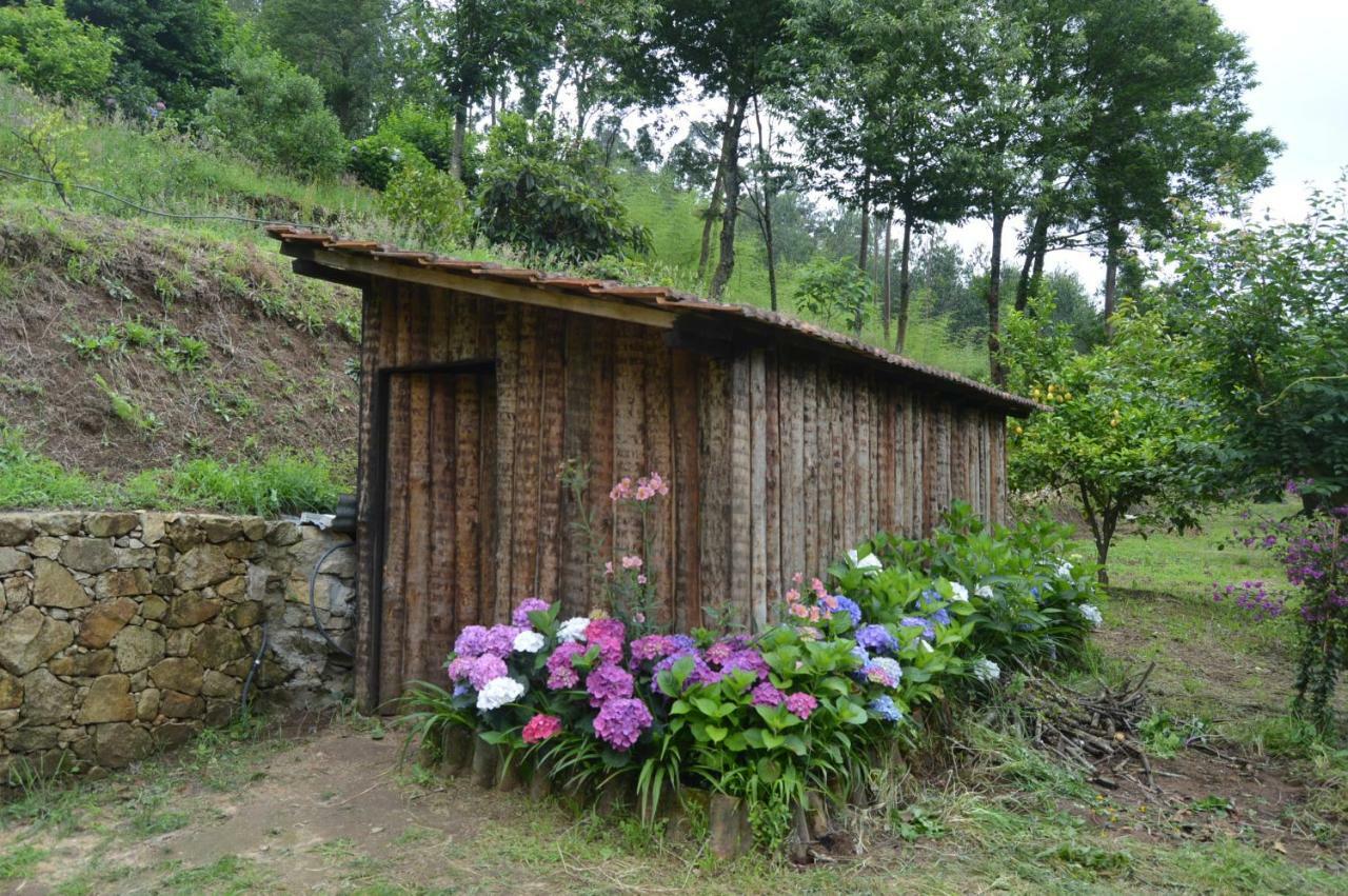 Casa Do Ribeiro Villa Sever do Vouga Bagian luar foto