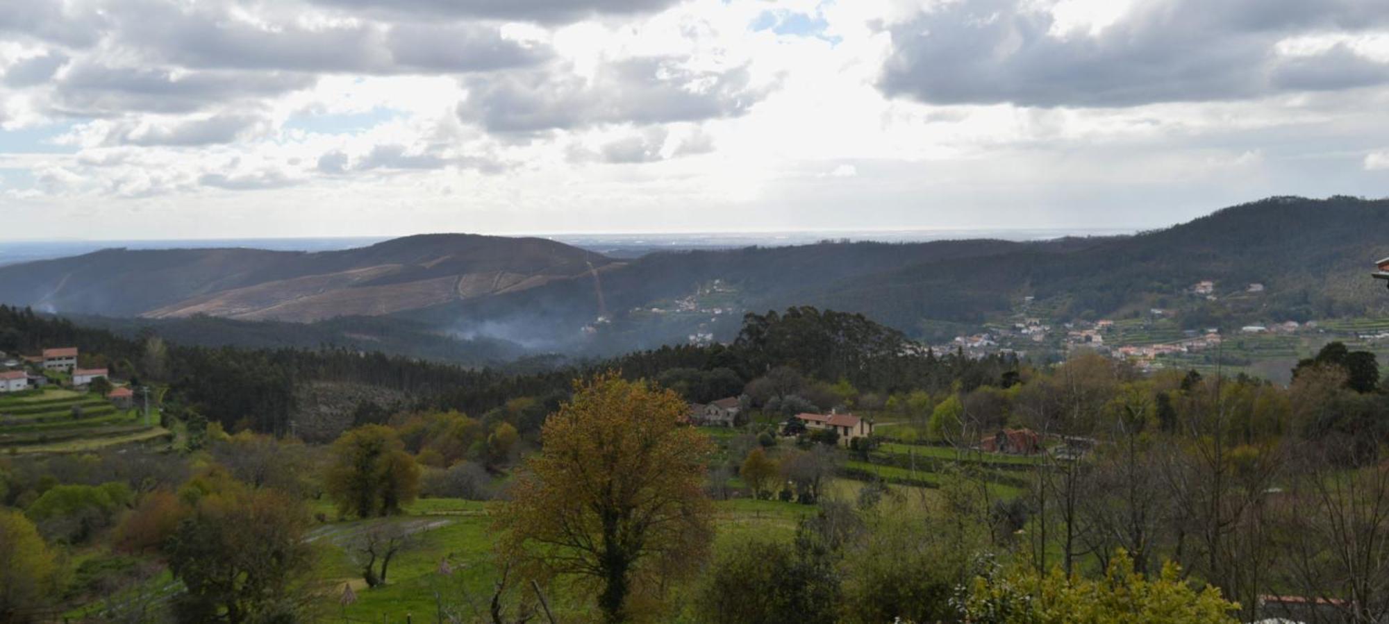 Casa Do Ribeiro Villa Sever do Vouga Bagian luar foto